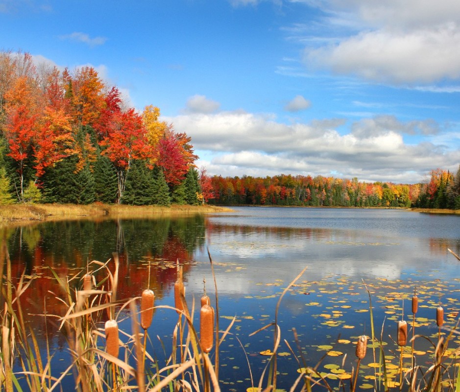 Best Fall Foliage Destinations Away From the Crowds