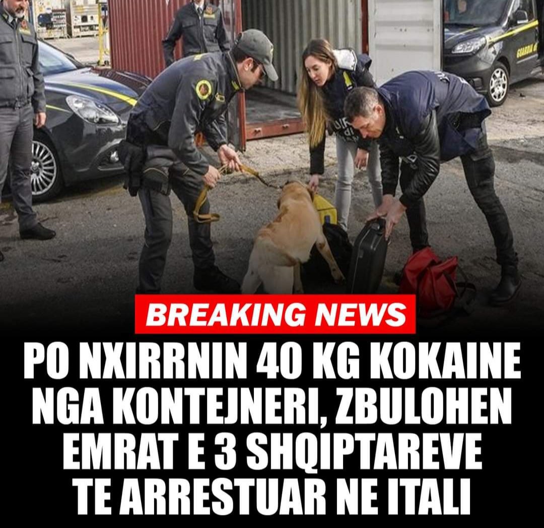 Po nxirrnin 40 kg kokainë nga kontejneri, zbulohen EMRAT e 3 shqiptarëve të arrestuar